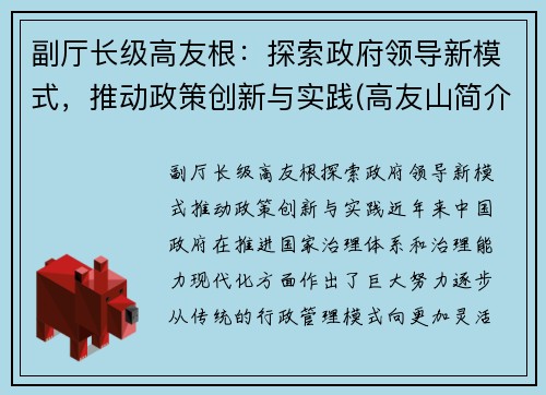 副厅长级高友根：探索政府领导新模式，推动政策创新与实践(高友山简介)