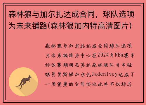 森林狼与加尔扎达成合同，球队选项为未来铺路(森林狼加内特高清图片)